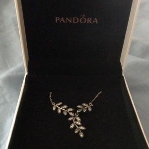 A silver pandora necklace
